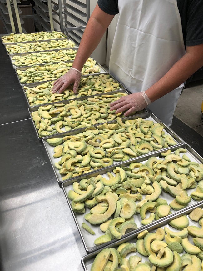 freeze-dry-wholesalers-avacado